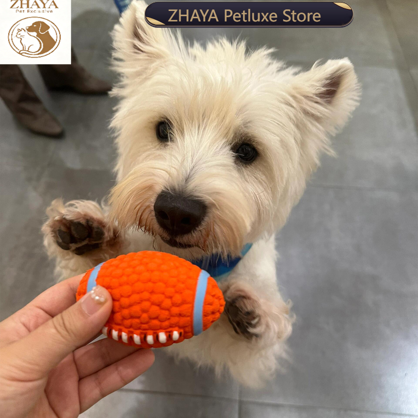 ZHAYA Pet Squeaky Interactive  - огляд і ціна Rugby Training Ball